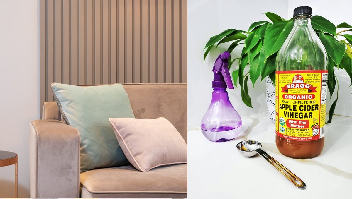 esmanchar sillones de tela