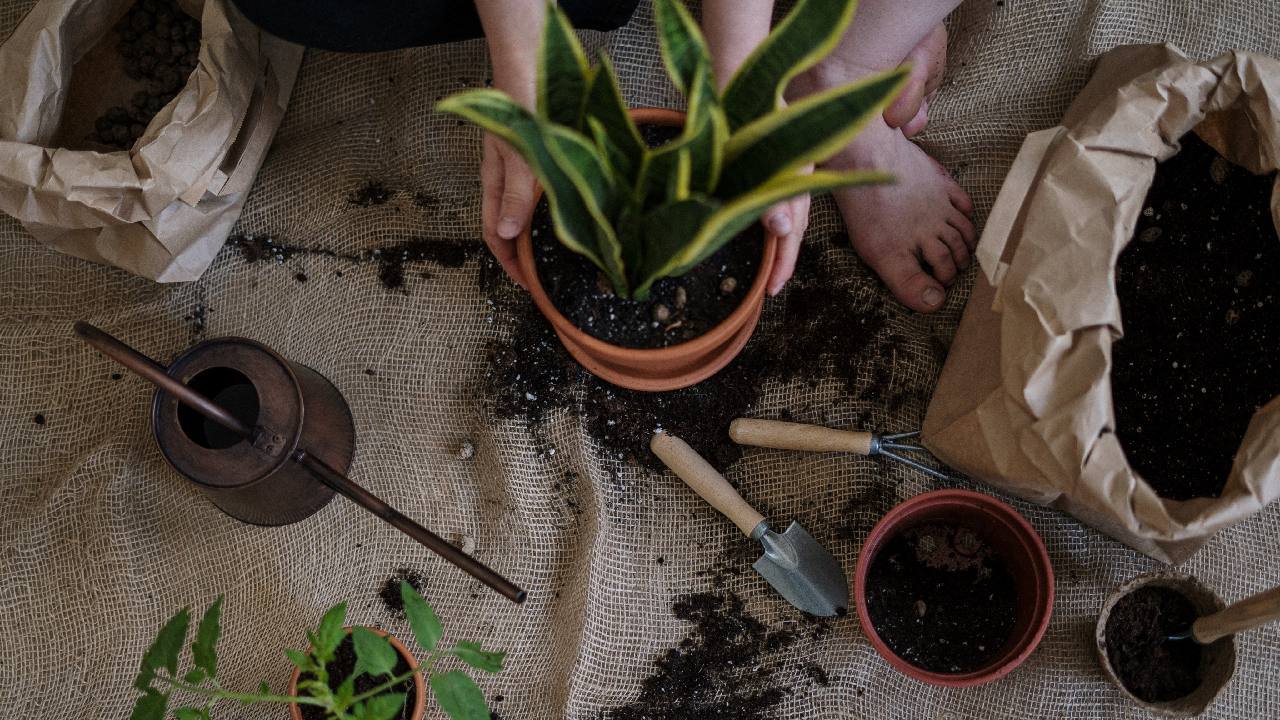 horoscopos mhoni vidente 15 de diciembre 2021 geminis