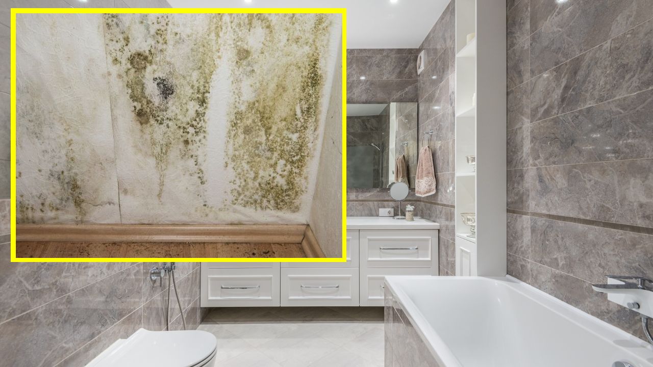 Razones por las que no debes tapar paredes húmedas con azulejo