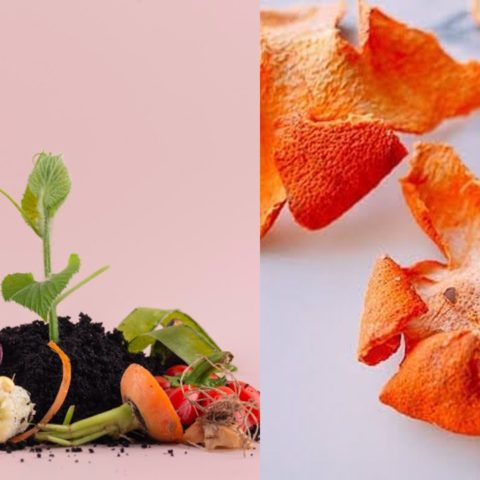 como hacer un abono casero con cascaras de mandarina y naranja