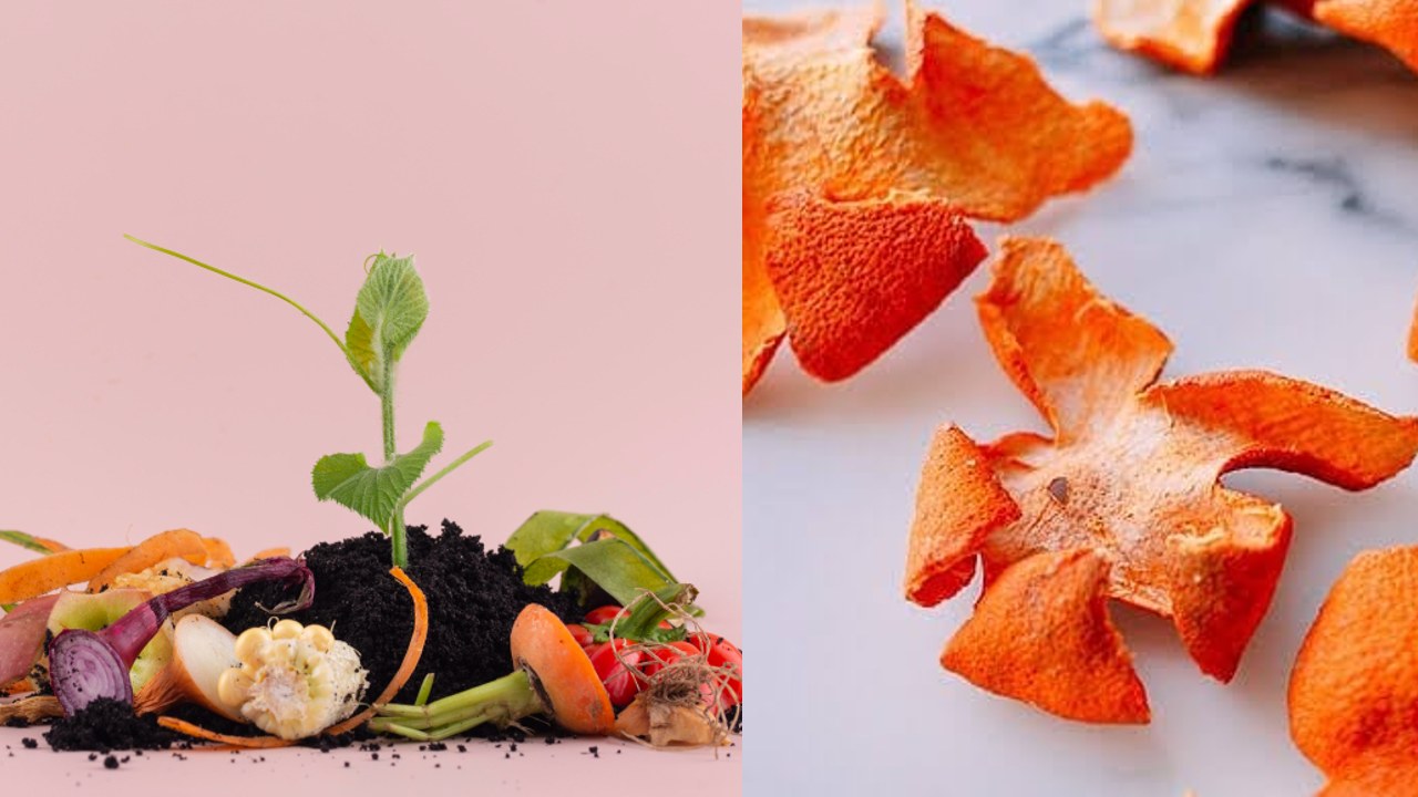 como hacer un abono casero con cascaras de mandarina y naranja