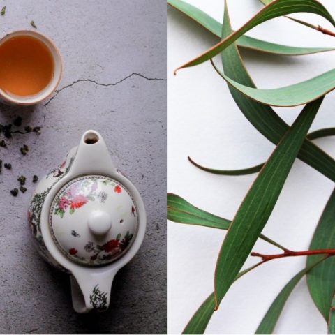 plantas para hacer te en casa