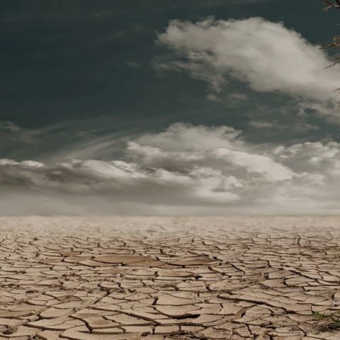 Predicciones de Nostradamus para 2022