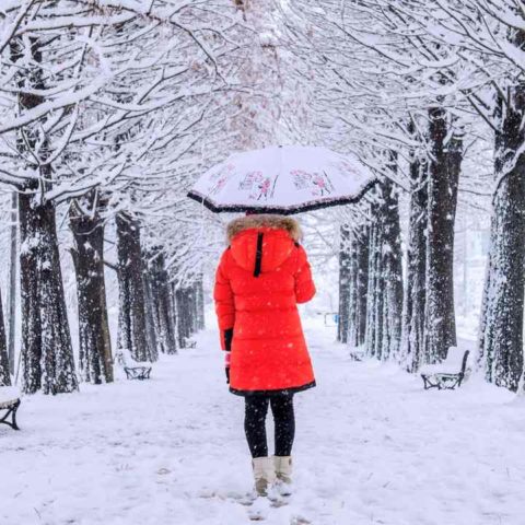 afectados por el solsticio de invierno