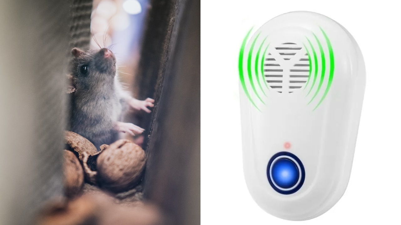 Sonido para ahuyentar ratas y ratones