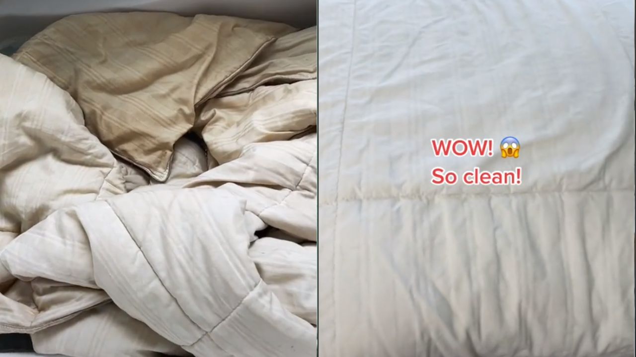 La sorpresa de una mujer al lavar el edredón de su marido