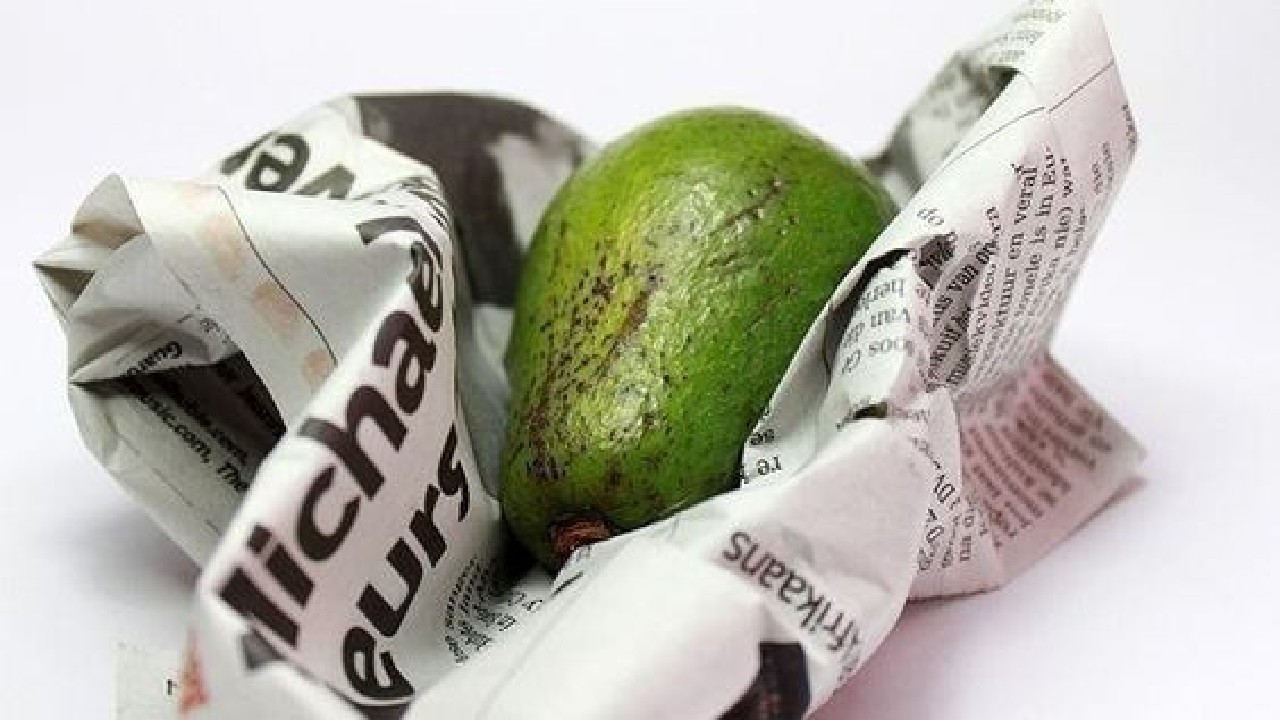 como madurar aguacate en poco tiempo