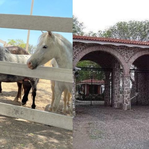 asi es el rancho los tres potrillos la ultima casa de vicente fernandez