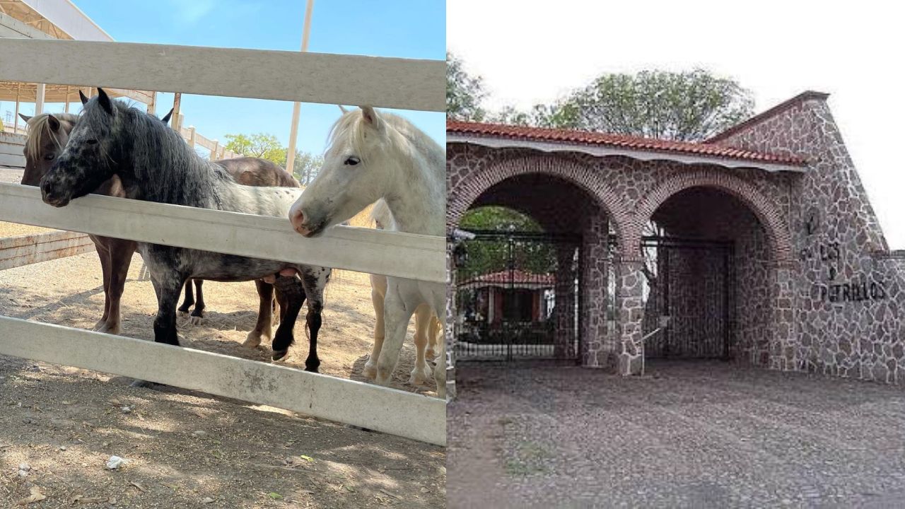 asi es el rancho los tres potrillos la ultima casa de vicente fernandez