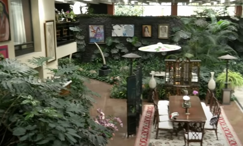 dónde vive silvia pinal