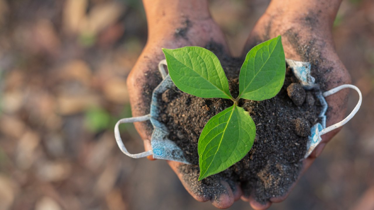 como nutrir un suelo pobre