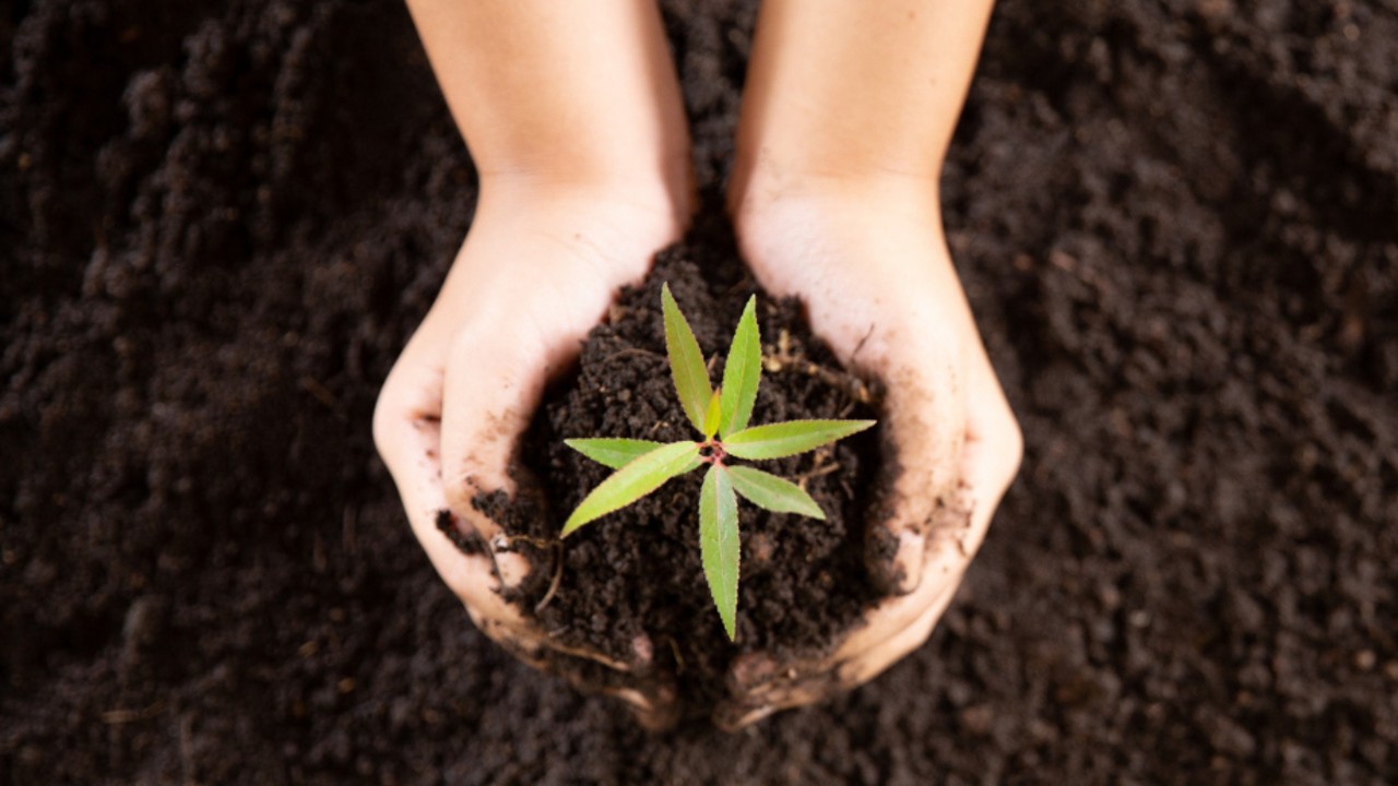 caracteristicas que tiene un suelo pobre en materia organica