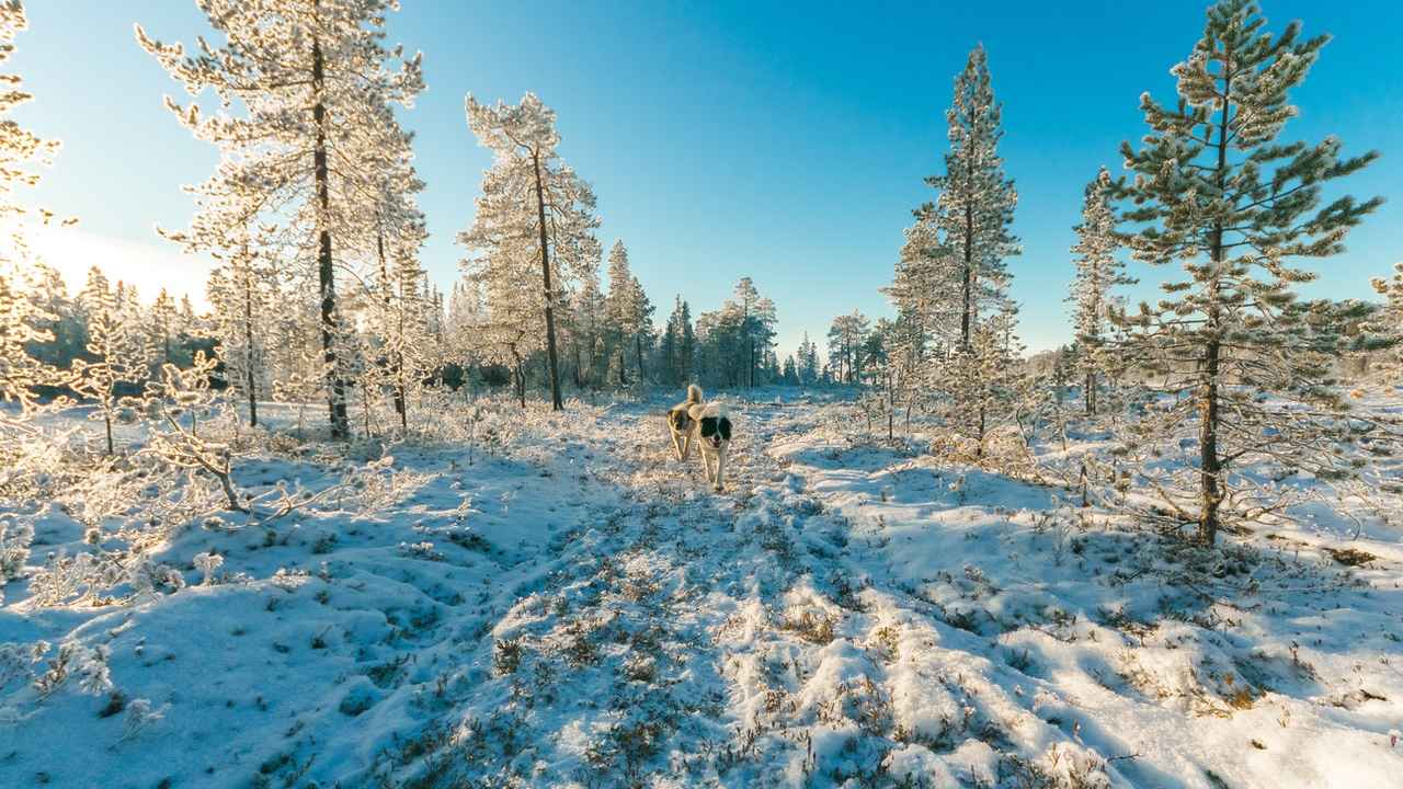 cuando empieza el invierno 2021