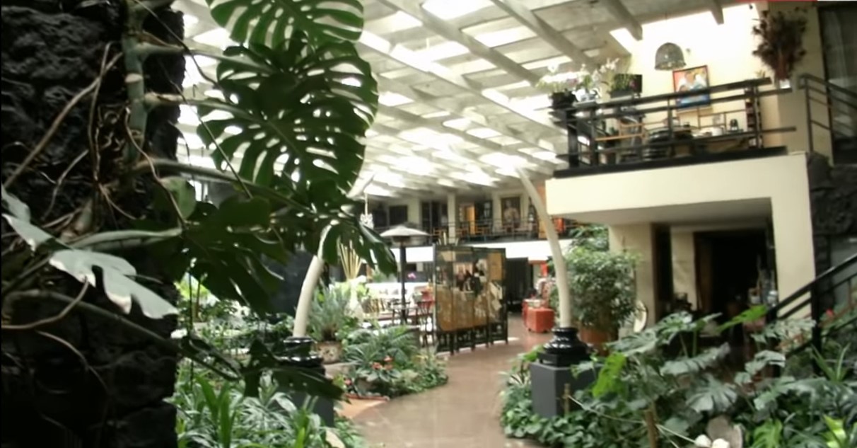 cómo es la casa de silvia pinal