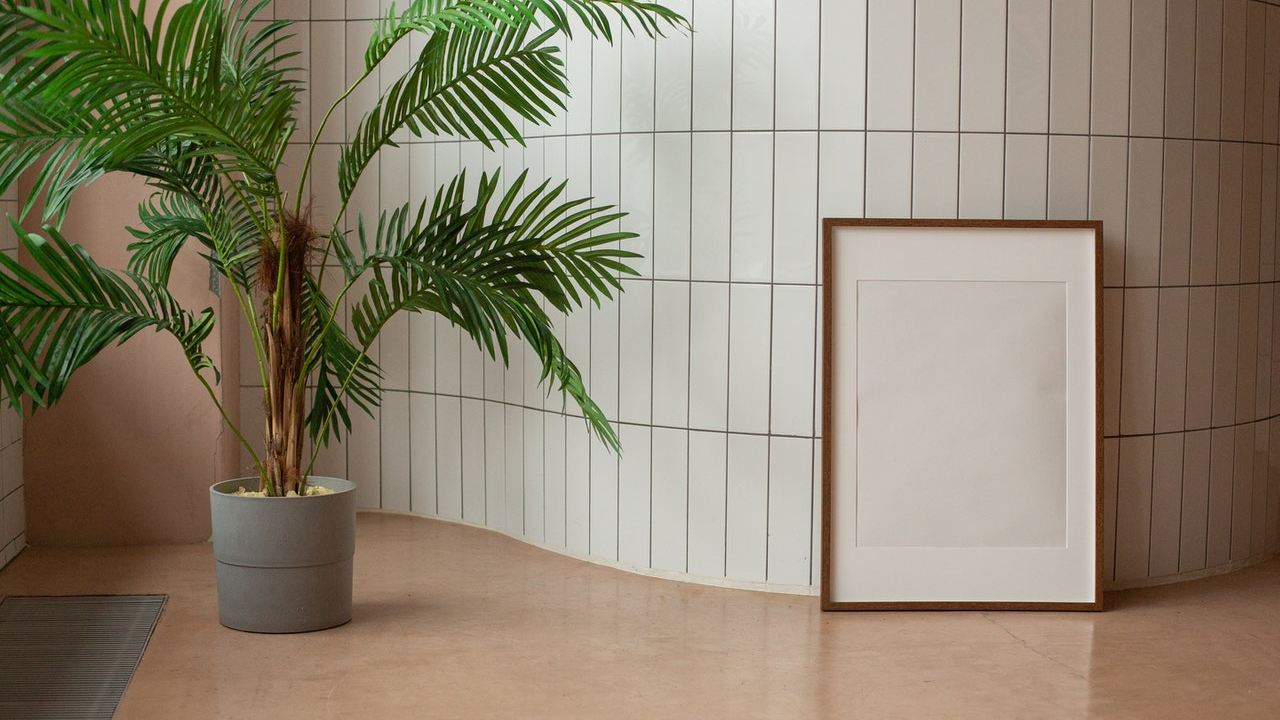 plantas que eliminan el moho