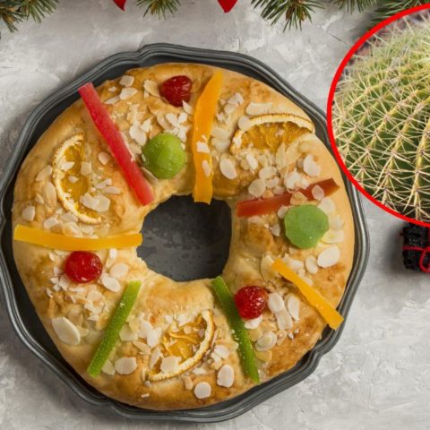 acitrón en la rosca de reyes multa