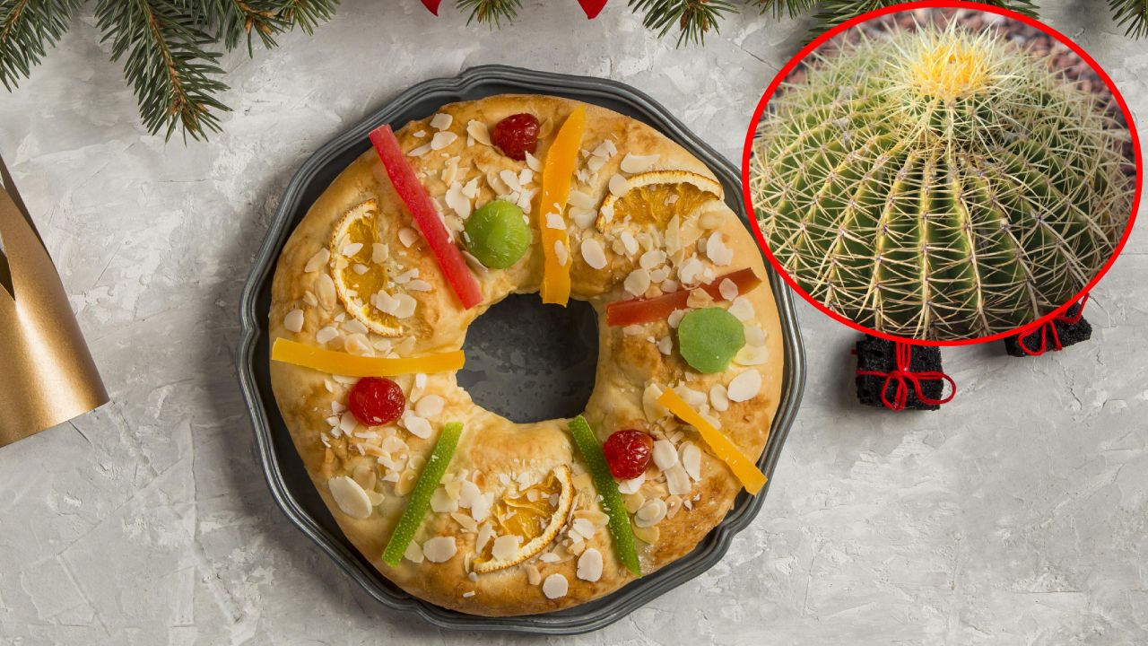 acitrón en la rosca de reyes multa