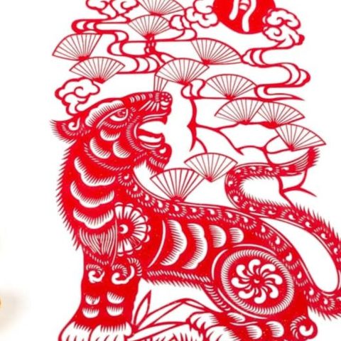 Ano del tigre de agua