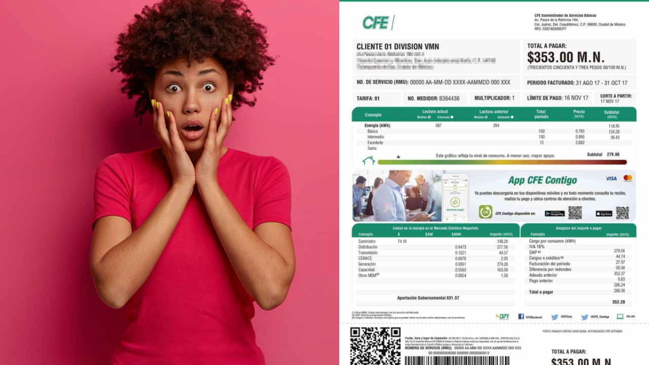 no te llegó el recibo de luz