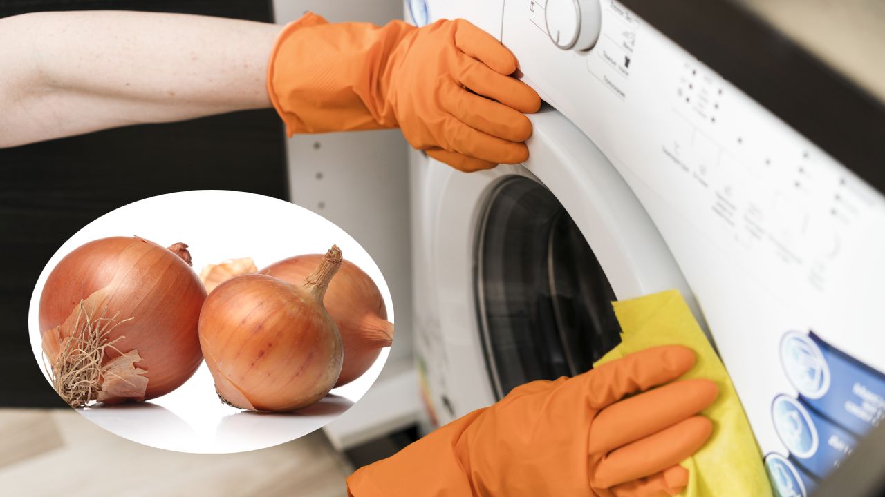 cebolla para limpiar la lavadora