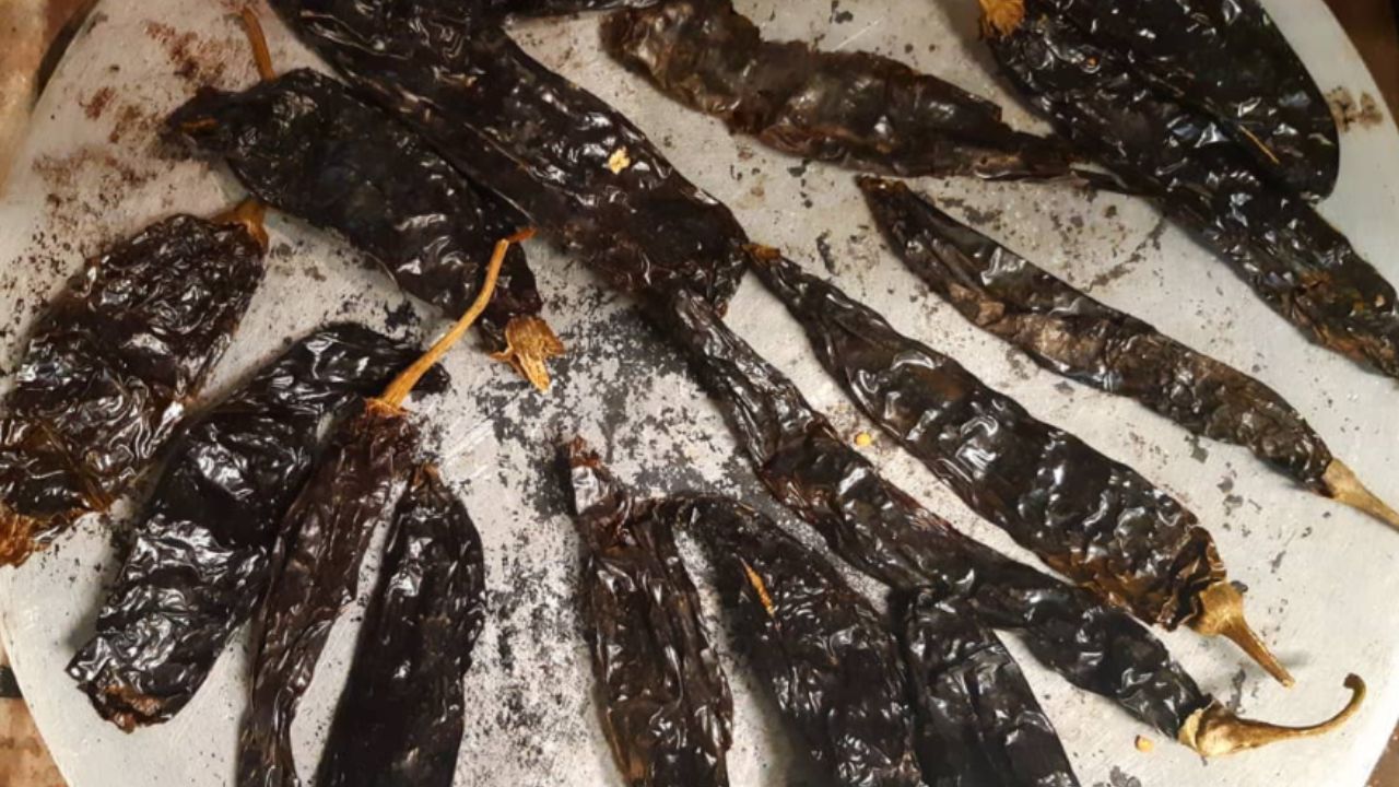 Características del chile pasilla