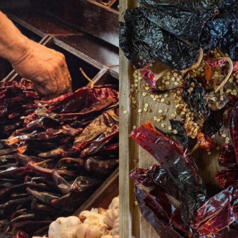 chile guajillo pasilla distinguirlos