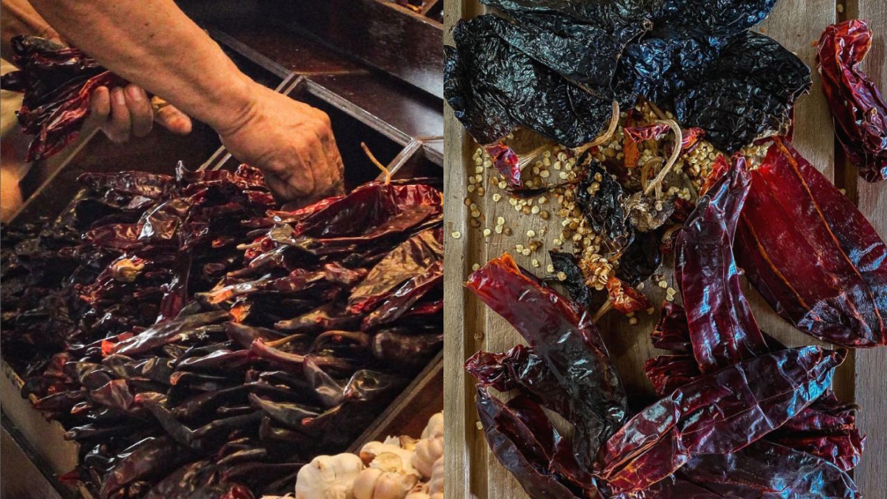 chile guajillo pasilla distinguirlos