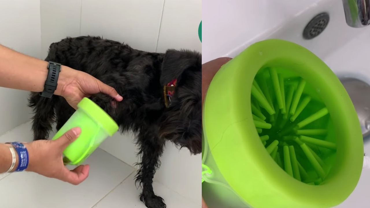 como hacer limpiador de patas casero