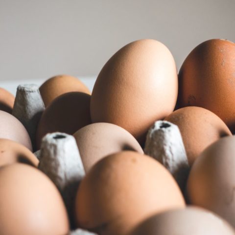 cómo saber si los huevos están frescos