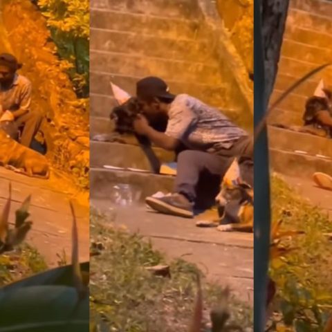 vive en la calle celebra el cumpleanos de su perrito