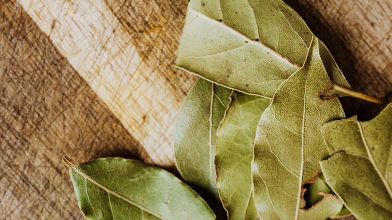 elimina malos olores con hojas de laurel