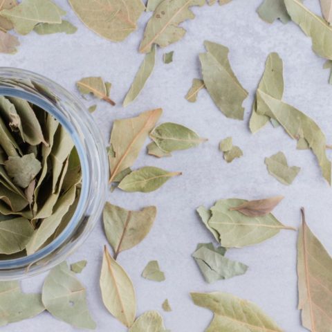 elimina malos olores con hojas de laurel