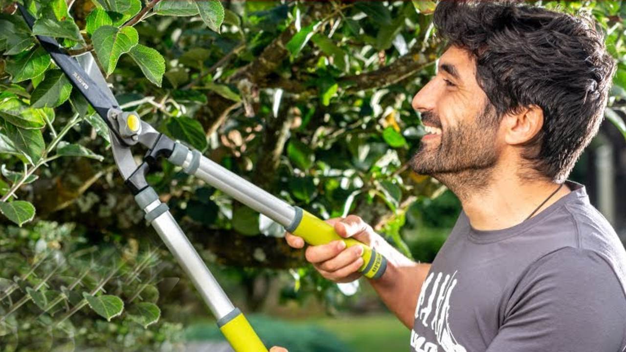 podar tus arboles frutales