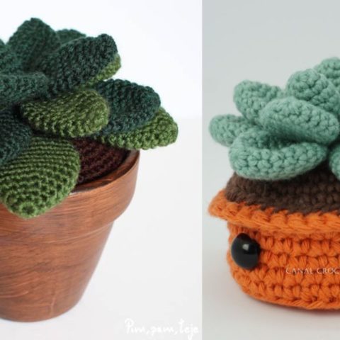 hacer suculentas de crochet