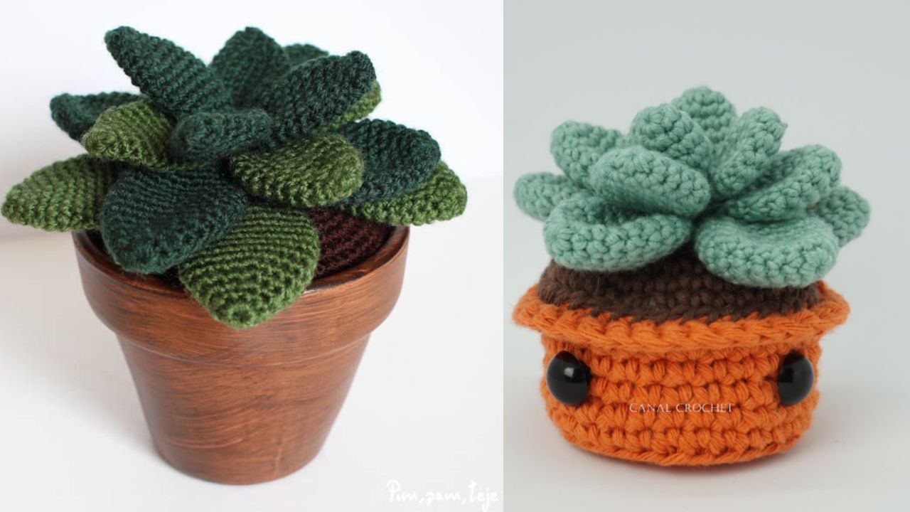 hacer suculentas de crochet