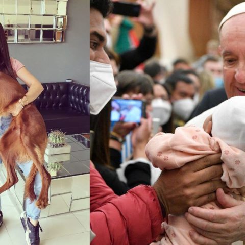 apa Francisco critica a quienes tienen gatos o perros en vez de hijos