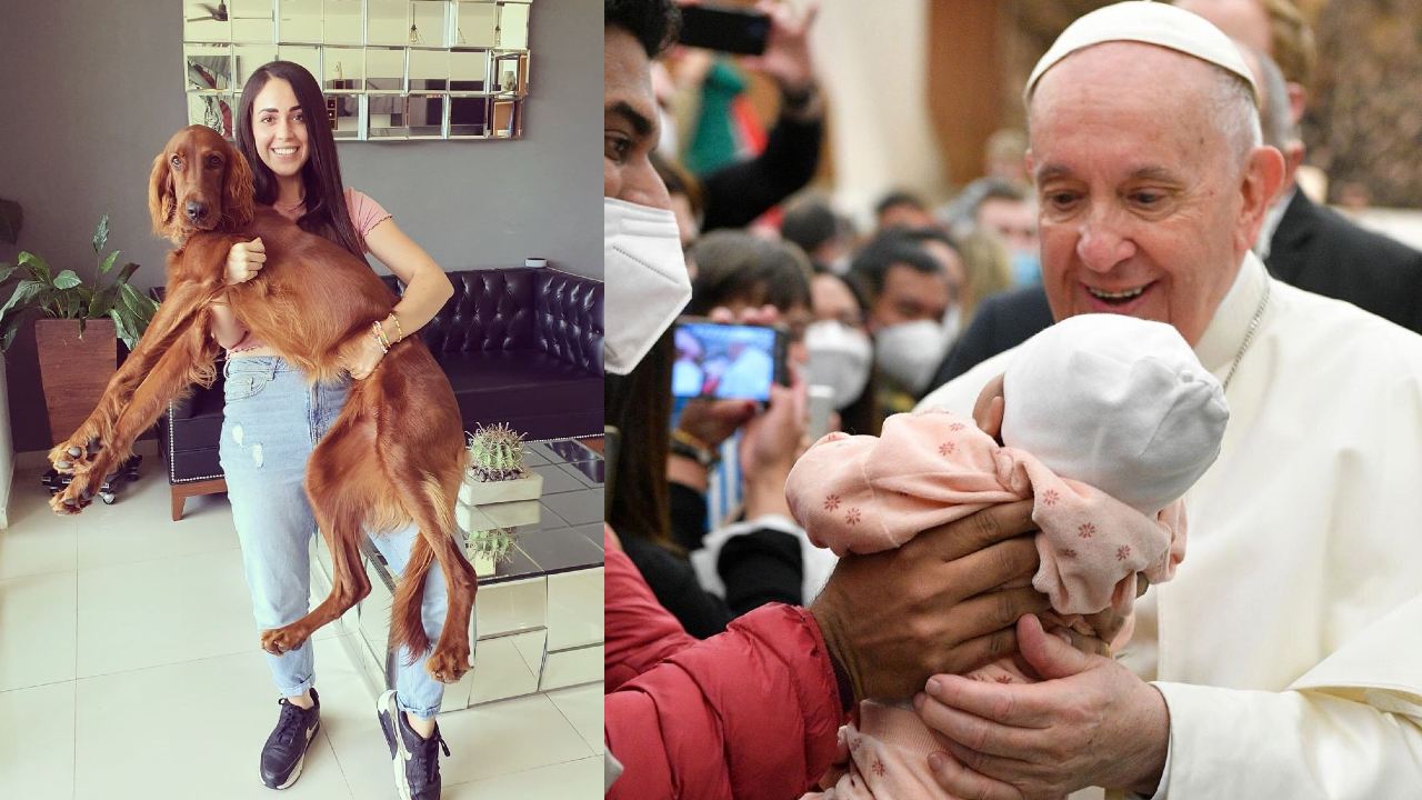 apa Francisco critica a quienes tienen gatos o perros en vez de hijos