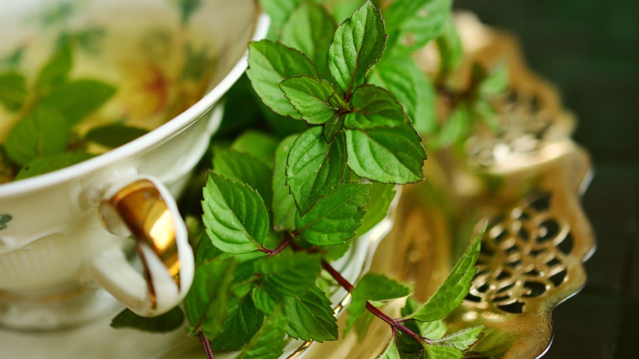 limpia la puerta con té de hierbabuena o menta