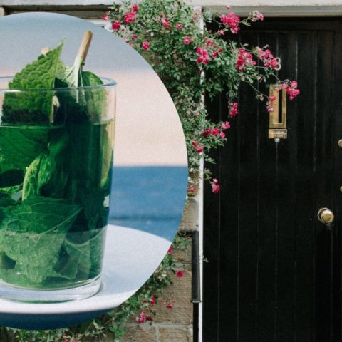 limpiar puerta con té de menta o hierbabuena