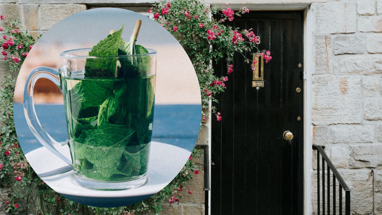 limpiar puerta con té de menta o hierbabuena
