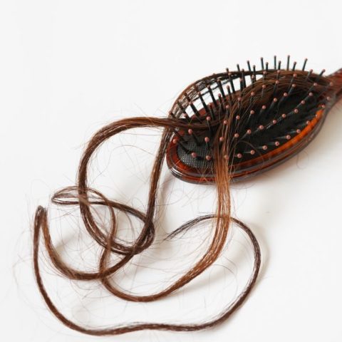 lo que guarda tu cepillo cabello