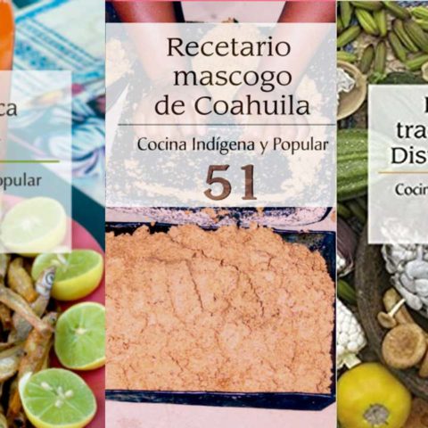 Recetarios indígenas de CONACULTA