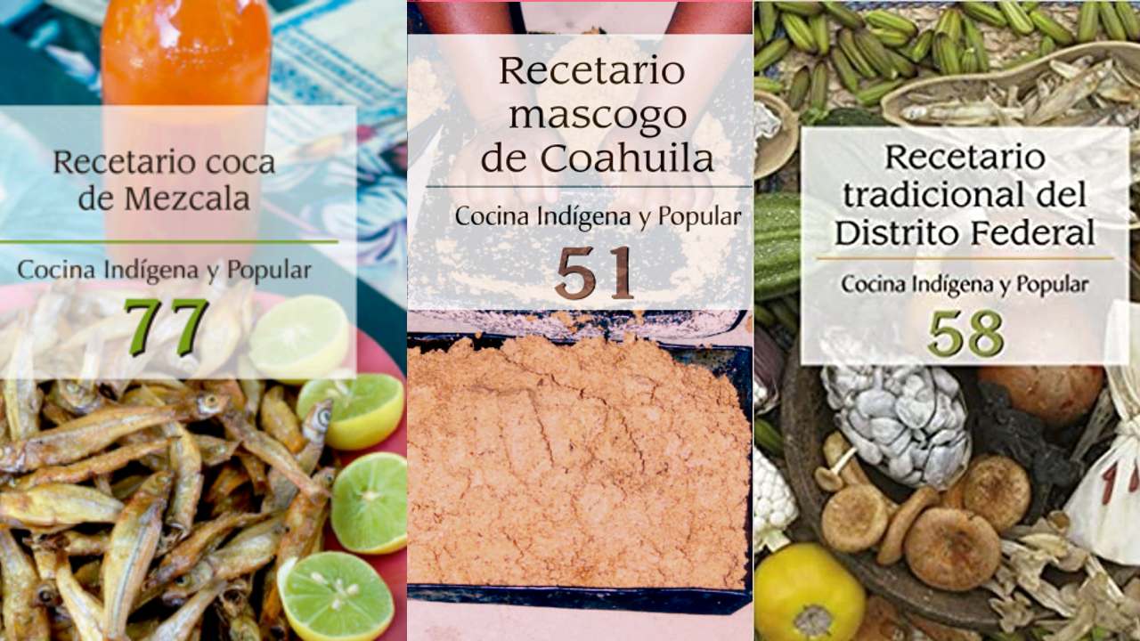 Recetarios indígenas de CONACULTA