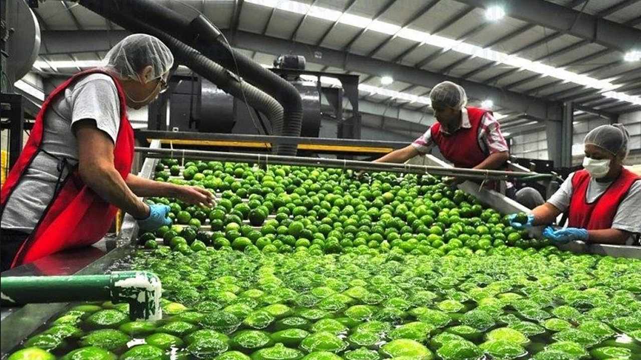 Por que esta tan caro el limon