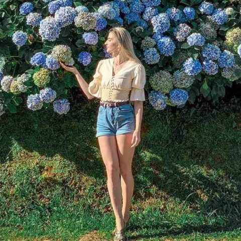 hortensias se ponen verdes