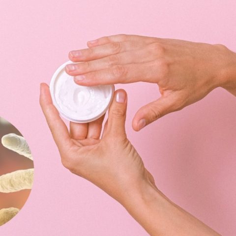 probioticos en productos de belleza