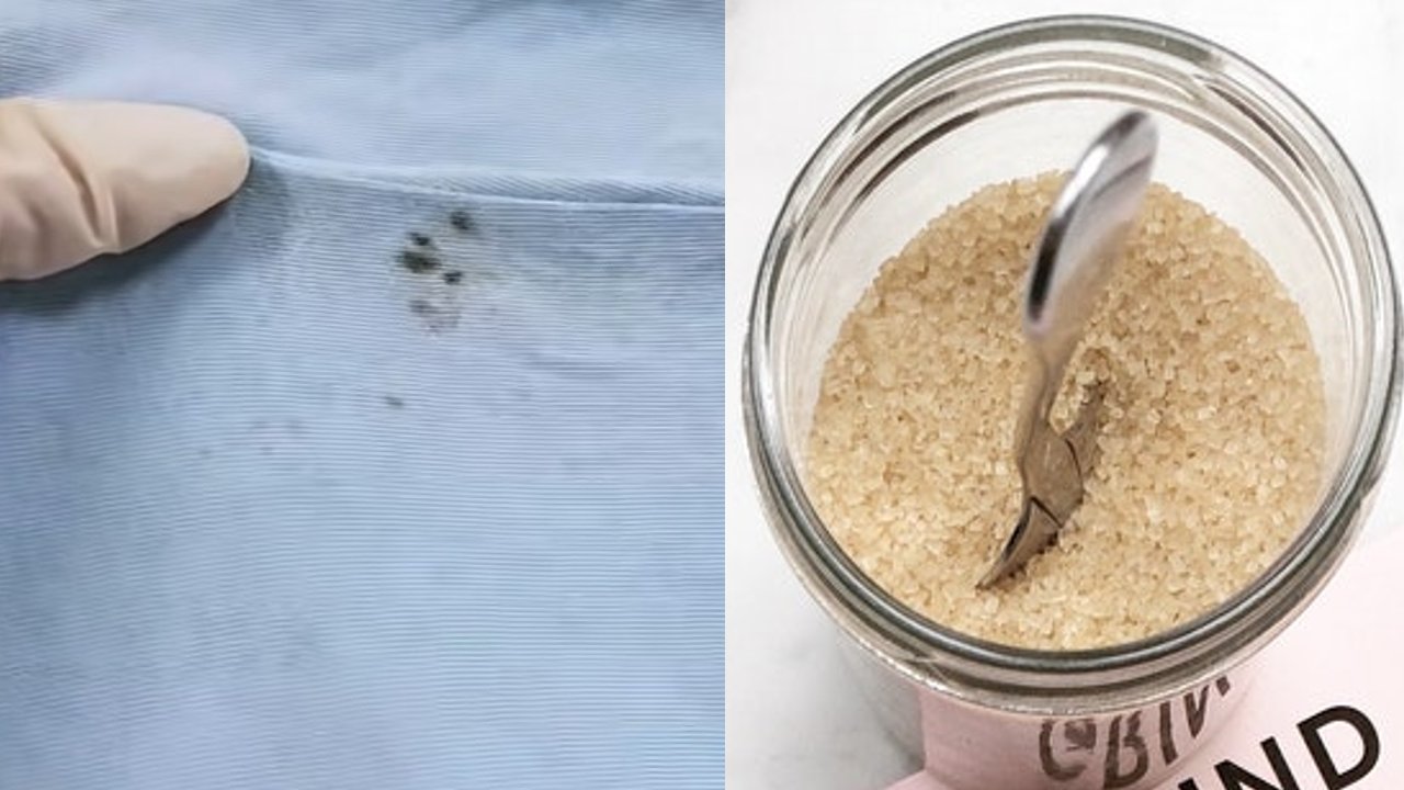 que es bueno para eliminar el moho de la ropa