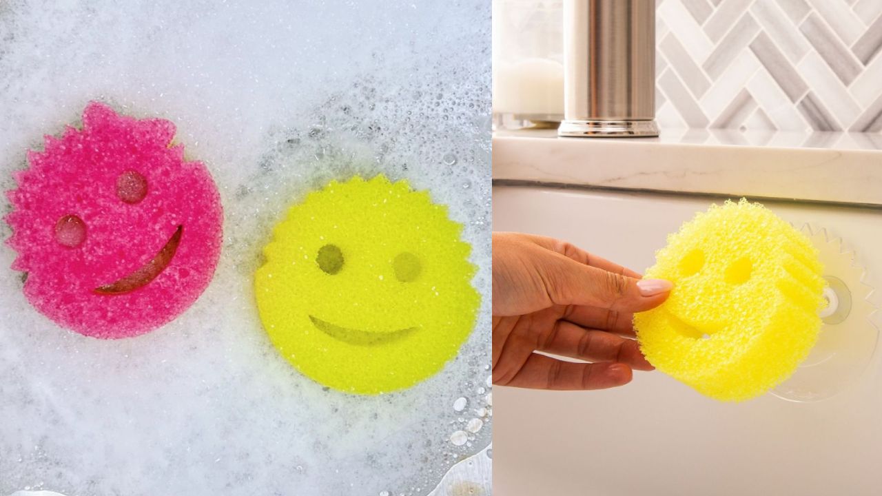 Scrub daddy y Scrub Mommy