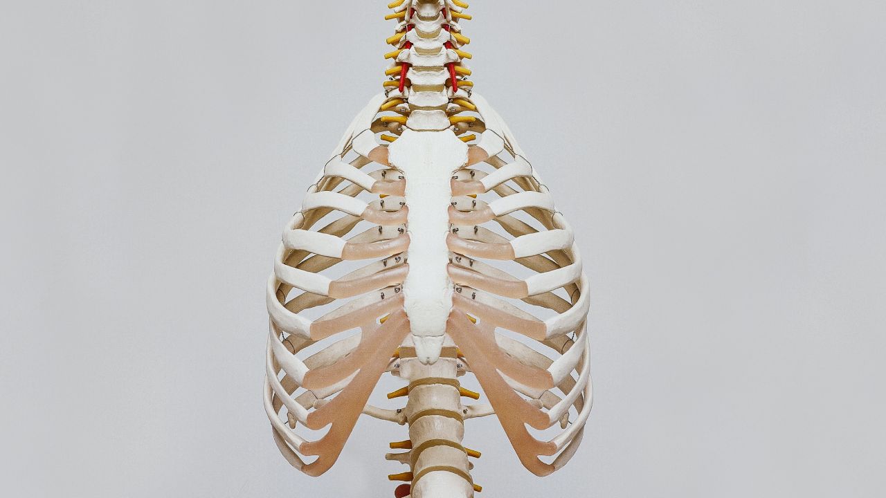 se notan mucho las costillas