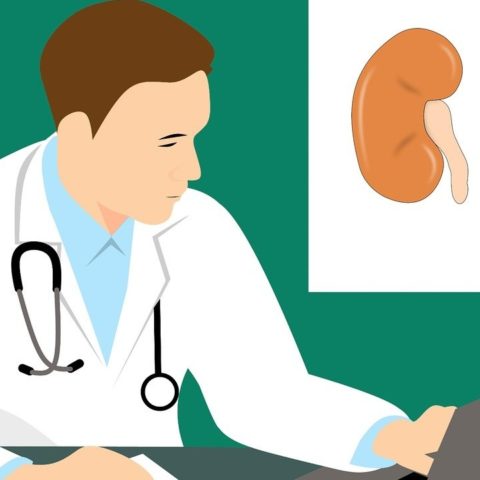 como daña la creatinina